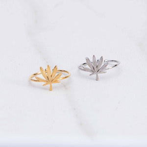 “Cannabis Ring”